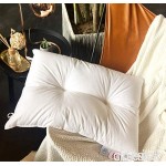KLGG Pillow Pillow Single Cotton Fabric Cloud Soft Pillow Adult Hotel Special Feather Velvet Anti-Mite Single Pair 2 - B07VPK3PW8
